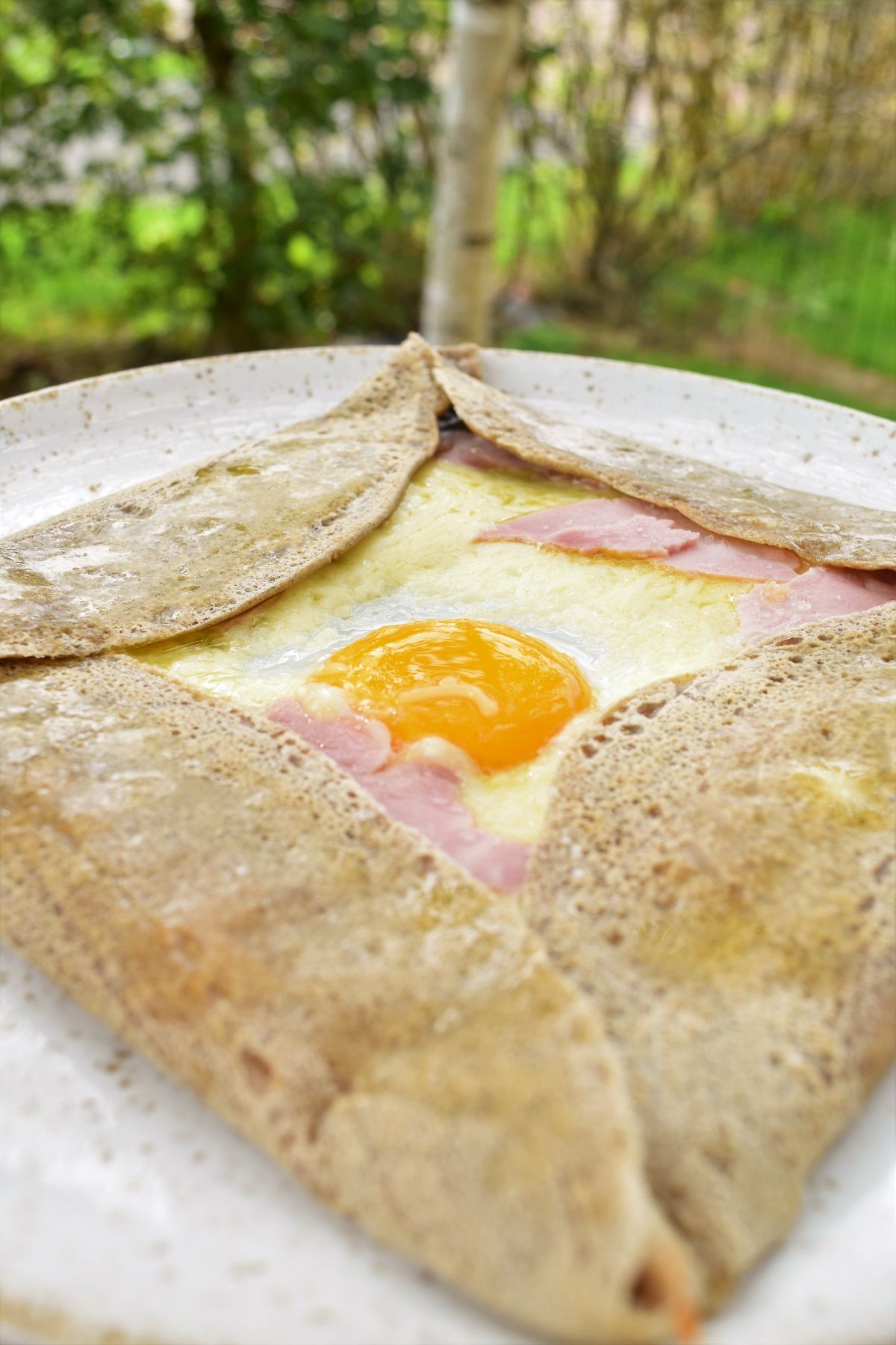 La galette avec une garniture adaptée, œuf, jambon, emmental, gruyère, champignon, saumon, andouille 